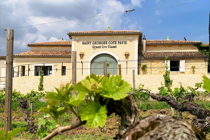 Visit and Tasting Château Saint-Georges Cote Pavie, Grand Cru Classé - Key Points to Know Before You Go