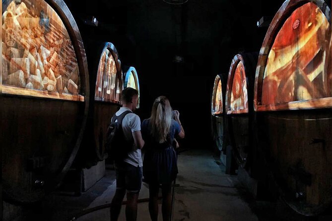 Visit of Cave Immersive - tasting - Kougelhopf to Strasbourg - Tasting Alsatian wine with kougelhopf