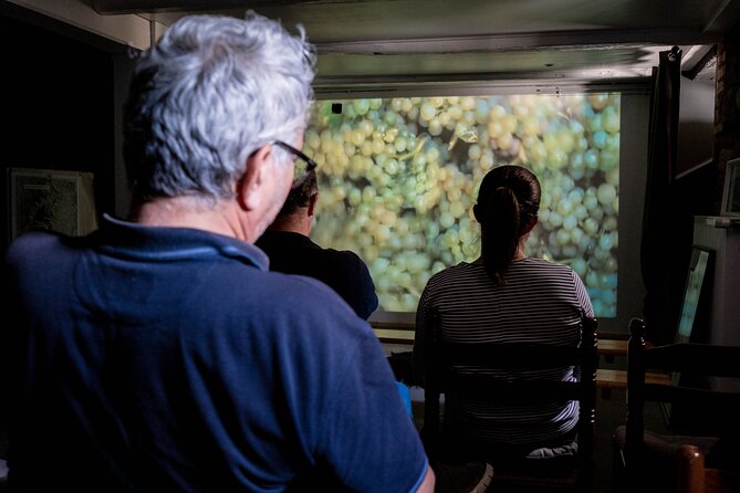 Visit of Cave Immersive - tasting - Kougelhopf to Strasbourg - The guides make the format work
