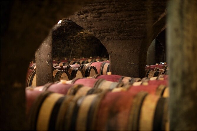 Visit of our 15th century cellars - Why the 15th century cellars matter