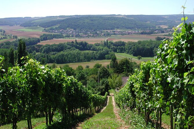 Visit-Tasting-Sale - How good is the English-language visit?