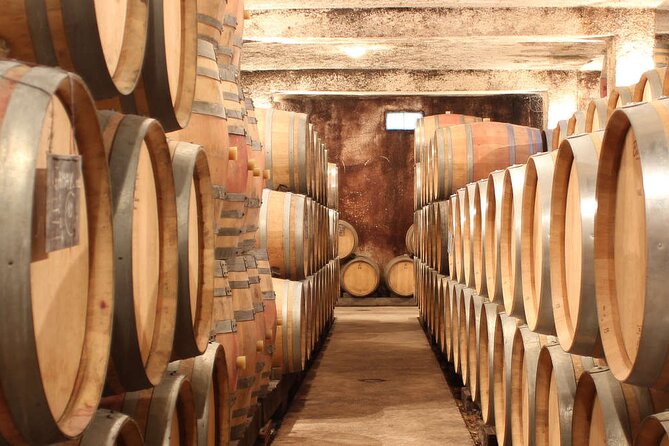 Visit-Tasting-Sale - The first taste: Hautes Côtes de Nuits wines