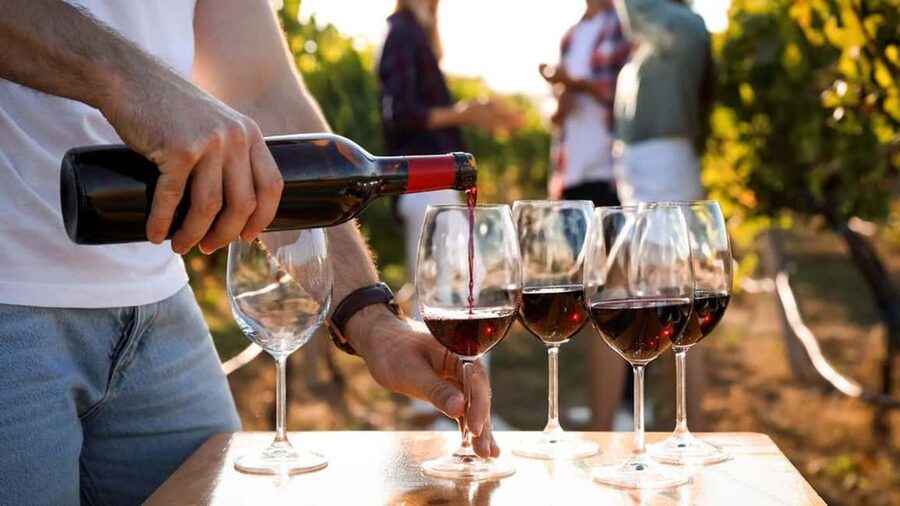 Visit the vineyards and discover Bandol wines - Inside the family-owned Bandol estate