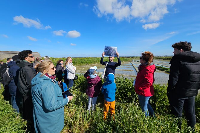 Visit to Saline - Guérande Salt Marshes - Why Guérande’s salt marshes are worth your time