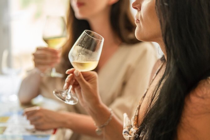 Wine Tasting Class: Tour de France in Nice City Centre - A French wine lesson, not just a row of glasses