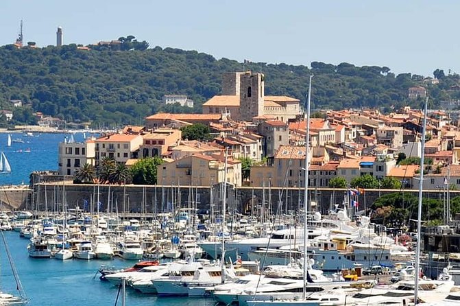 Wine Tasting, Provencal Market, Cannes and St Paul de Vence - Château de Crémat and the wine tasting