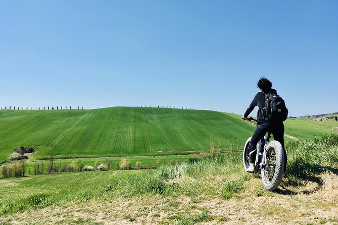 Wine Tour Ebike Experience - Two wineries and eight Montepulciano wines