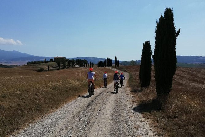 Wine Tour Ebike Experience - Lunch can improve the day, or stretch it