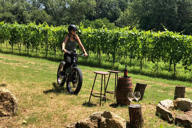Wine Tour Ebike Experience - Is the cycling suitable for you?