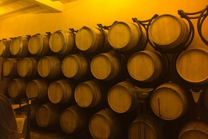 Winery Visit with Food and Wine in Carcassonne - Why the $138.78 price can make sense